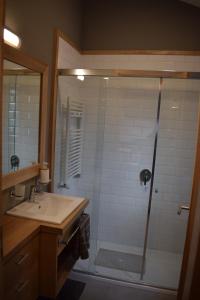 a bathroom with a shower and a sink at Monoambiente Céntrico in San Martín de los Andes