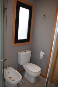 a bathroom with a toilet and a window at Monoambiente Céntrico in San Martín de los Andes