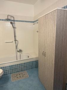 La salle de bains est pourvue d'une douche, d'une baignoire et de toilettes. dans l'établissement Appartamento Eli, à Calmasino