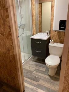 een badkamer met een douche, een toilet en een wastafel bij Chalet climatisé n°2 in Verrières