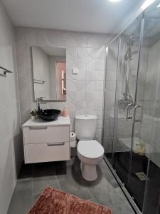 La salle de bains est pourvue de toilettes, d'une douche et d'un lavabo. dans l'établissement Ricky House Big Waves, à Nazaré
