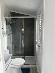 een badkamer met een toilet en een glazen douche bij Chalet Boerenbries - Heerlijk chalet met overkapt terras en 2 slaapkamers - max 4 pers - 3 km van Noordzee - locatie op camping Moorhoek 5 in Rockanje