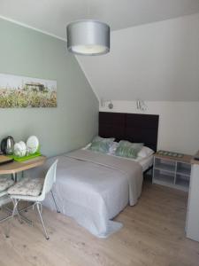 een slaapkamer met een bed, een tafel en een bureau bij A-ura Pokoje goscinne in Mikołajki