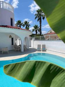 uitzicht op een zwembad met een huis en palmbomen bij Villa Edis in Belek