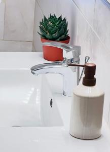 Una planta colocada encima del lavabo del baño. en Dear John, en Hydra 19 fotos más