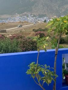 a blue wall with trees and a view of a city at house naim in Chefchaouen