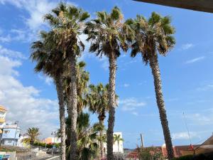 a group of palm trees on a street at ALCAMAR Apartamento cerca al Mar in Alcalá