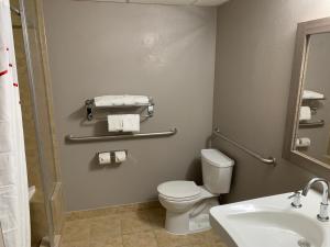 a bathroom with a toilet and a sink and a mirror at Red Roof Inn & Suites Vineland - Buena in Buena