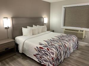 a hotel room with a large bed and a window at Red Roof Inn & Suites Vineland - Buena in Buena