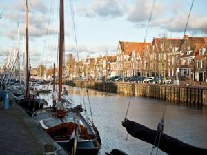 um grupo de barcos está ancorado num porto em Atmospheric chalet with beautiful garden, on a holiday park near the Wadden Sea em Tzummarum