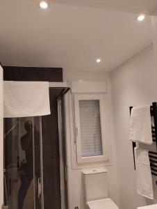 a bathroom with a shower and a toilet and a window at Apartamento Mar de la Concha in Vilagarcia de Arousa