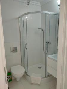 クリニツァ・モルスカにあるFryderykの白いバスルーム(シャワー、トイレ付)