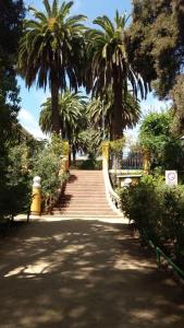una carretera con palmeras y una escalera con palmeras en Condominio Ilimay Las Cruces El Tabo, en Las Cruces