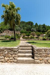 a stone stairway with a palm tree and a stone wall at Quinta do Calvário 