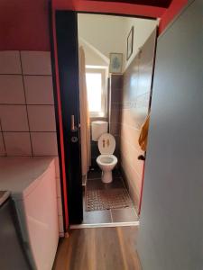 ein Bad mit einem WC und einer offenen Tür in der Unterkunft Apartman Mima in Jagodina