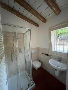 ein Bad mit einer Dusche, einem WC und einem Waschbecken in der Unterkunft Island Sunset House in Sulzano