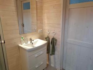 uma casa de banho com um lavatório, um espelho e um chuveiro em Zielony Zakątek em Kretowiny