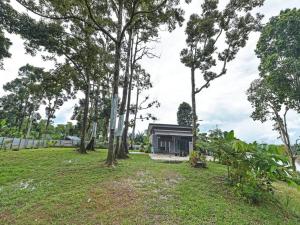 una casa en medio de un campo con árboles en Kampungstay by The LiliZ en Pekan