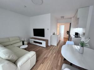 Μια τηλεόραση ή/και κέντρο ψυχαγωγίας στο MOMENTIC Apartment - riverside