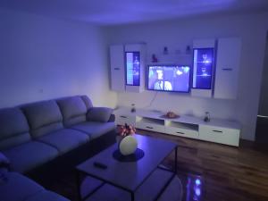 sala de estar con sofá azul y TV en Apartmani CARPE DIEM en Draškovec