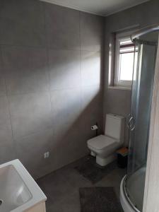 a bathroom with a toilet and a sink and a window at Domki na kocim zamku in Grywałd