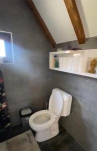 a bathroom with a white toilet in a room at Cozy 3 bedroom mountain villa with scenic views in Novoberdo