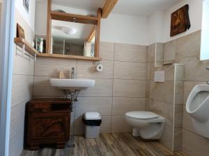 a bathroom with a sink and a toilet and a urinal at Pr Močnk in Bled