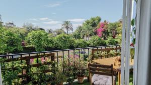 Kuvagallerian kuva majoituspaikasta Palm House, joka sijaitsee Marbellassa