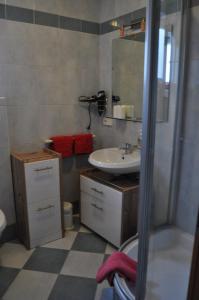 een kleine badkamer met een wastafel en een douche bij Haus Aida in Längenfeld