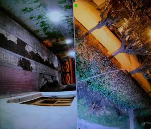 Gallery image of Patagonia Andina in Zapala