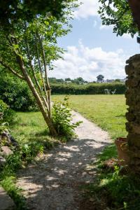 un sentiero sporco che conduce a un campo con un albero di Ty Monde - Chambres d'hôtes en Finistère a Poullaouen