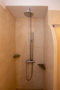 a shower with a shower head in a bathroom at Astrokaktos in Skaládhos