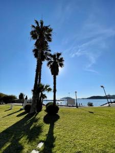 two palm trees in a field next to the water at Seaside escape apartment in Palaiá Fókaia