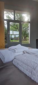 een slaapkamer met een groot wit bed met een raam bij CASA DE LA LAGUNA in Ushuaia