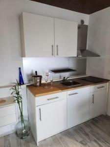 a kitchen with white cabinets and a vase with a plant at La Montaña 2 in Sabinosa