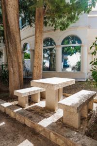 Aed väljaspool majutusasutust Villa Atrium