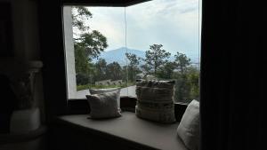 a window with two pillows sitting on a window sill at Maja Hotel Boutique in Morelia