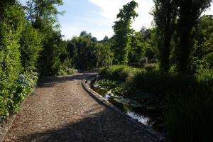 a brick road next to a river with trees at Quinta das Gerais in Marco de Canavezes