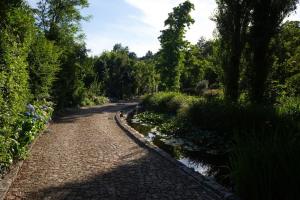 una strada di mattoni accanto a un fiume alberato di Quinta das Gerais a Marco de Canaveses