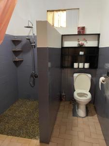 a bathroom with a toilet and a shower at CHEZ ANIAKI in Nuku Hiva