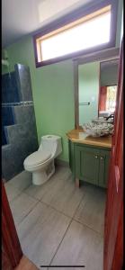 uma casa de banho com um WC, um chuveiro e um lavatório. em Cabinas Tortuguero Sports Fishing em Tortuguero