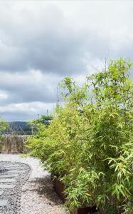 een rij struiken aan de kant van een weg bij Morninginn, Zhenyu Plaza in Shaoyang County