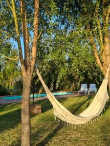- un hamac suspendu à un arbre dans la cour dans l'établissement Nuestra quinta, à Veinticinco de Mayo