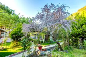 a tree in the middle of a garden at Park Mandalin Hotel - Adult only in Ağva
