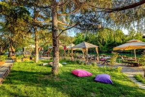 a group of umbrellas sitting on the grass in a park at Park Mandalin Hotel - Adult only in Ağva
