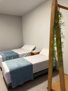 a room with two beds and a plant at Morada da Ilha Pousada in Soure +14 photos
