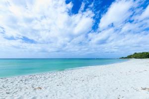 a sandy beach with the ocean and a cloudy sky at San Marco Gulf Beach Views 3rd Floor in Venice