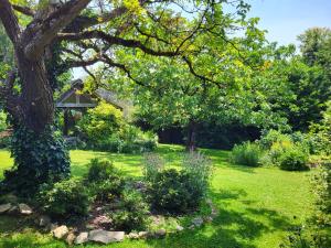 un giardino con un albero e alcuni cespugli di Les Causeries du Monde a Chamboulive