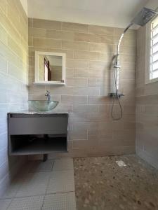 Chirongui的住宿－Suite Villa au bord de la mer chez Saloua，一间带水槽和淋浴的浴室