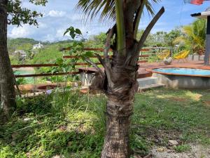 uma palmeira num quintal ao lado de uma cerca em Casa Faro em Saboga